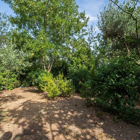 La Sosta Del Pellegrino Apartment Sorano  Bagian luar foto