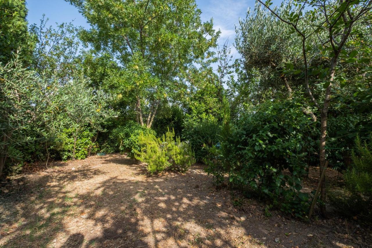 La Sosta Del Pellegrino Apartment Sorano  Bagian luar foto